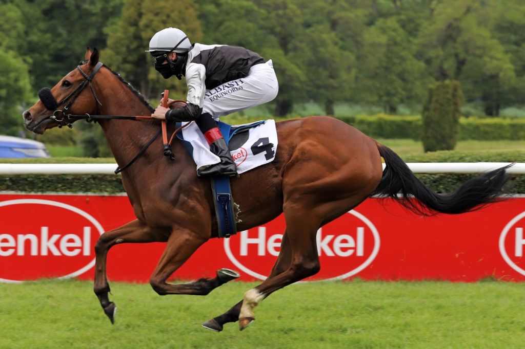 德國雌馬含雄性激素,準備「閹割」回復女兒身