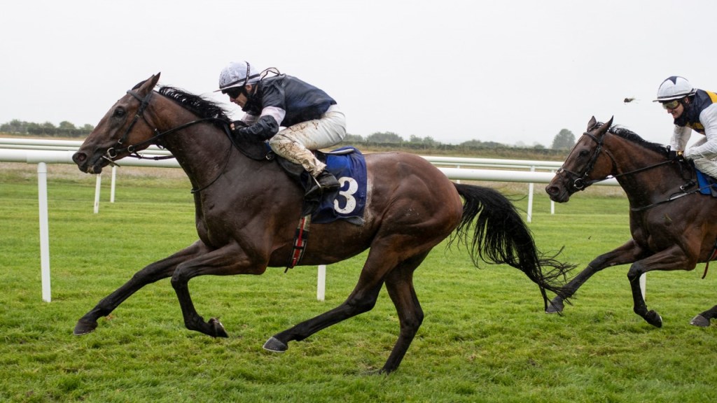 2021年11月2日墨爾本盃賽馬日各場推介