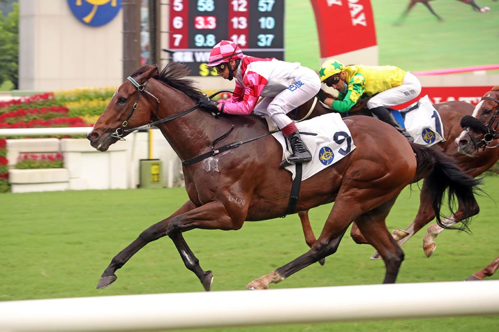 國慶盃，聚才轉倉跑直路賽有效