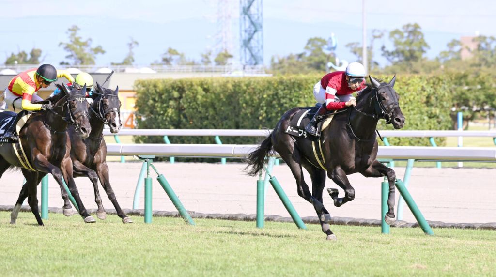 每日賽馬晚報（2021年10月2日），皇僕半弟Sunray Major勢成轉播賽大熱門，Tobune輕鬆取下第二勝