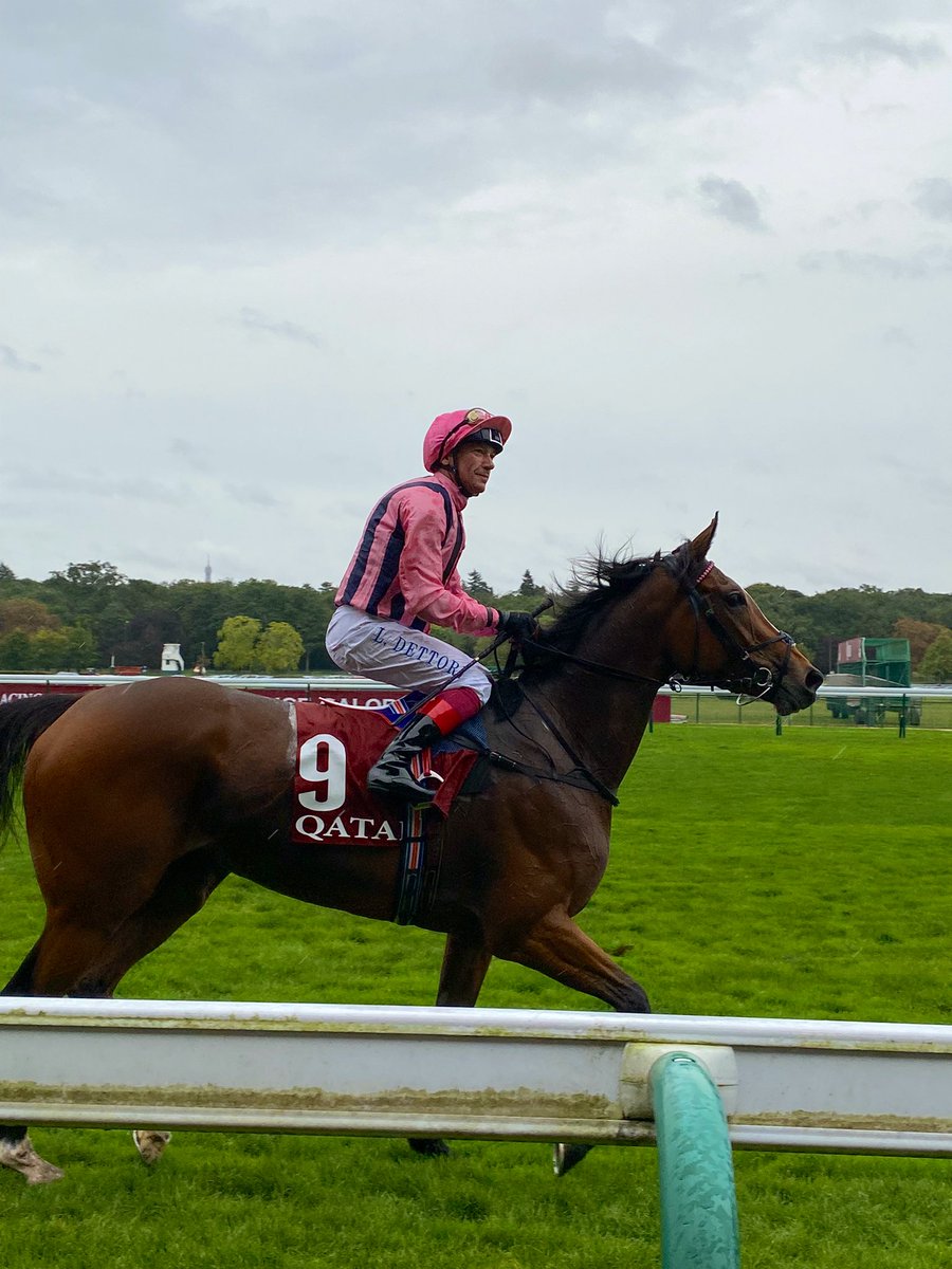 韋士登錦標及皇家地錦標，戴圖理大殺四方，阻止故人來三連霸，又帶來濃情滿夢