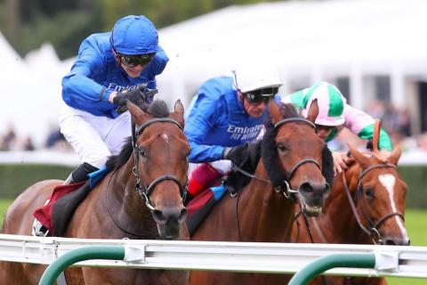 高多芬艾柏賓團隊部署杜拜世界盃賽馬日三場主要草地賽事