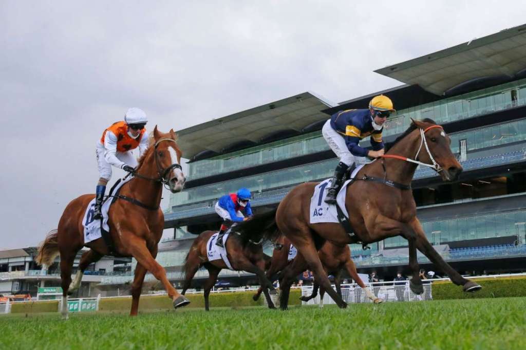 每日賽馬晚報（2021年12月22日），鐵立基勝訴可獲賠償，隱秘俠士霸定來年珠峰資格