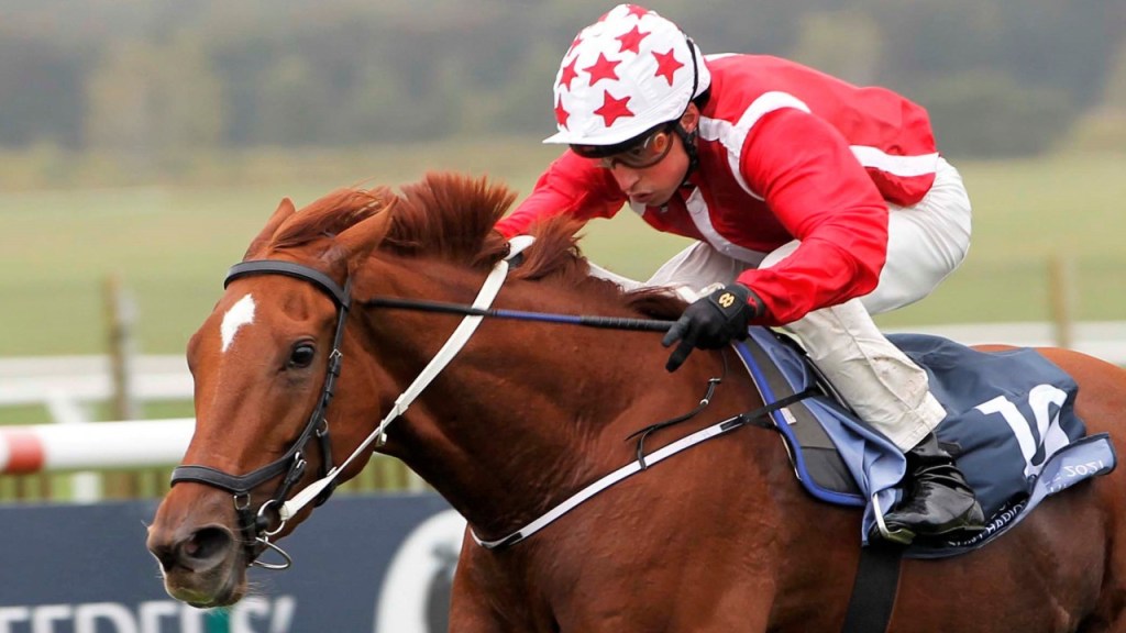 杜拜草地大賽卓珍妮秘密武器Saffron Beach