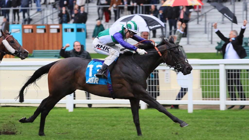 驊夢可否把握千載一遇變化地機會？