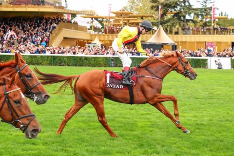 2021國際馬壇大事回顧，終極總集篇