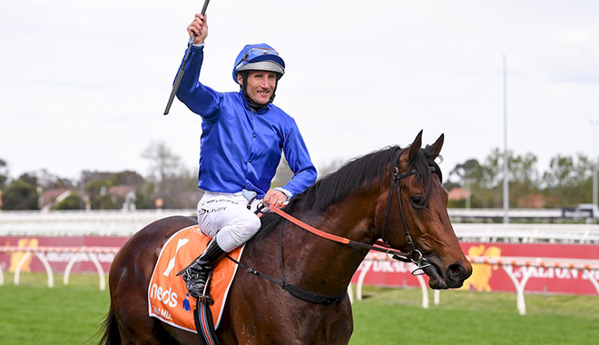 每日賽馬晚報（2022年1月3日），當機立斷日本再跑一場遠征海外，愛禮物求一級賽冠軍不參戰明星一哩賽