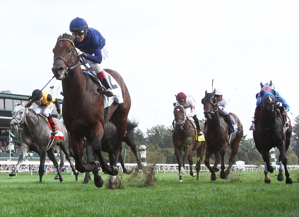 每日賽馬晚報(2021年10月10日),實勁力達避戰冠軍錦標有啟示,友情比金回美國即屈機贏馬