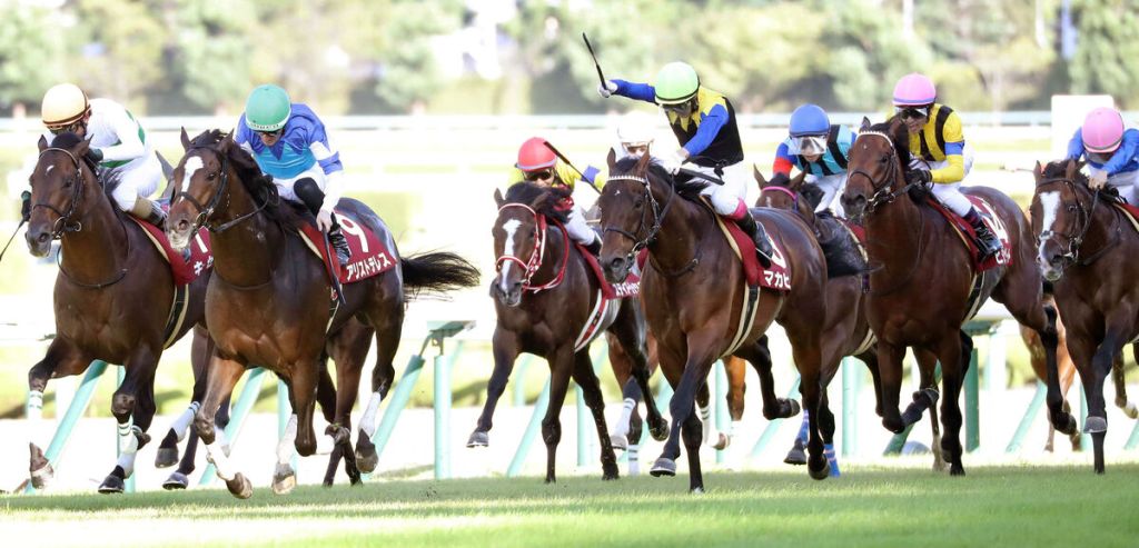 京都大賞典，豐收節不屈取下61個月以來首勝