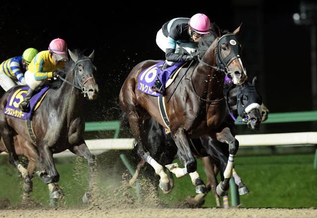 一哩冠軍南部盃，Arctos成功衛冕