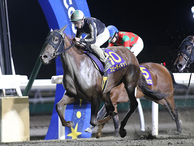 每日賽馬晚報（2021年10月15日），軍械庫完全移籍澳洲，莫艾誠布宜學保持兩場距離