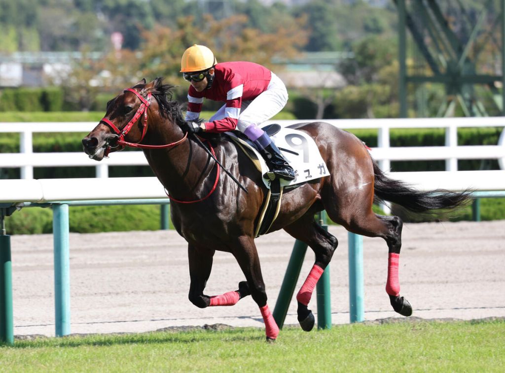 每日賽馬晚報（2021年10月16日），龍子爵不幸離世，莫艾誠關鍵戰兩捷冠軍騎師在望