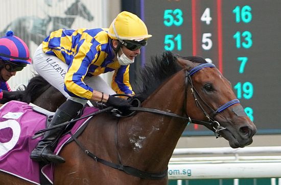 國際三級賽資格仍在，四歲新星能否一躍成為新馬王？