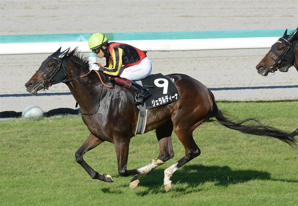 每日賽馬晚報（2021年10月17日），鼓動原本有覺士盾B計劃，吉典娜贏秋華賞賽日條件賽如麗冠花環