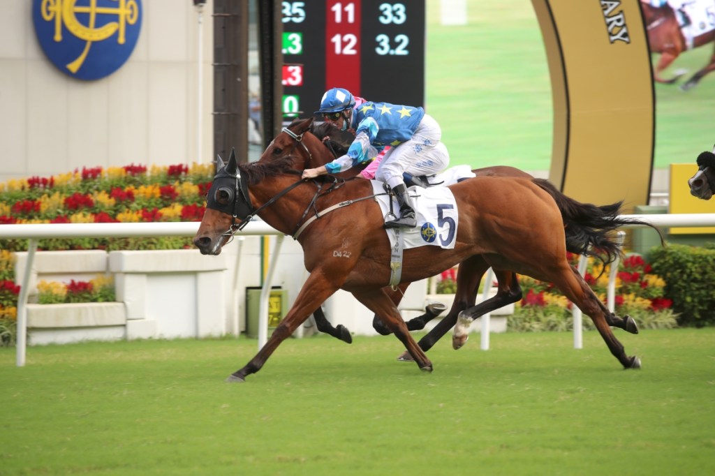 精英碗,兩大熱門齊齊死火,錶之系出個未來