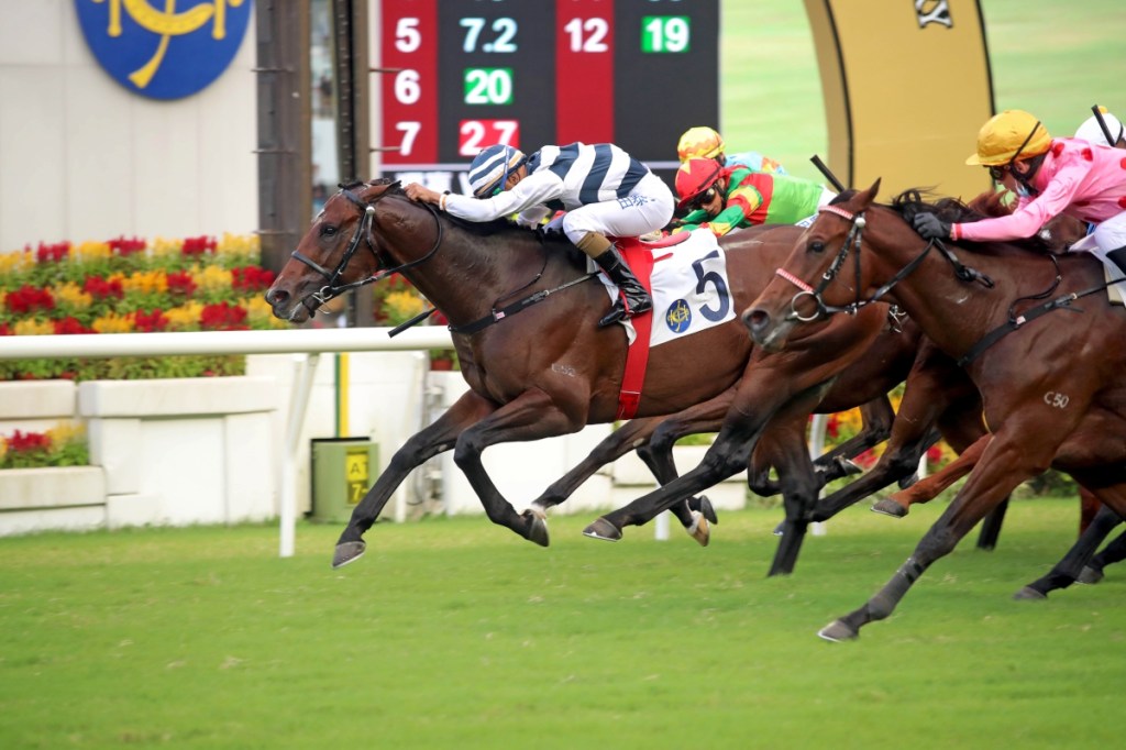 沙田錦標，大塞車勇戰神駒一哩照贏