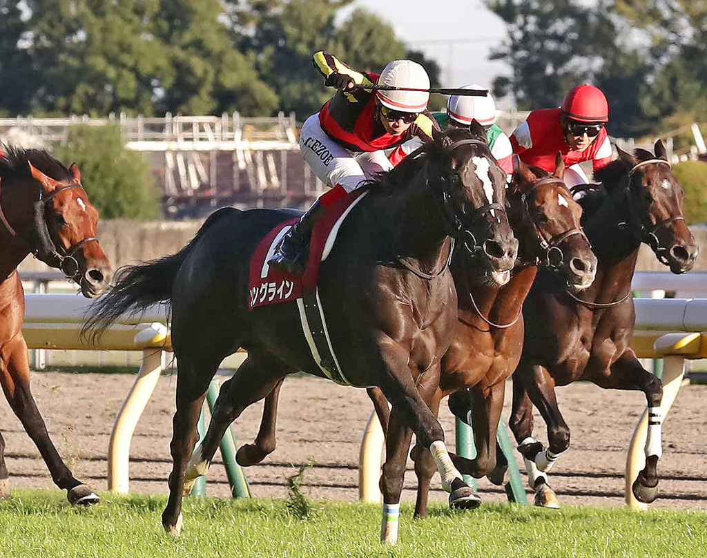 2022年6月5日賽馬日（10場田草泥混合、C跑道）+安田紀念賽以及法國打吡大賽特集