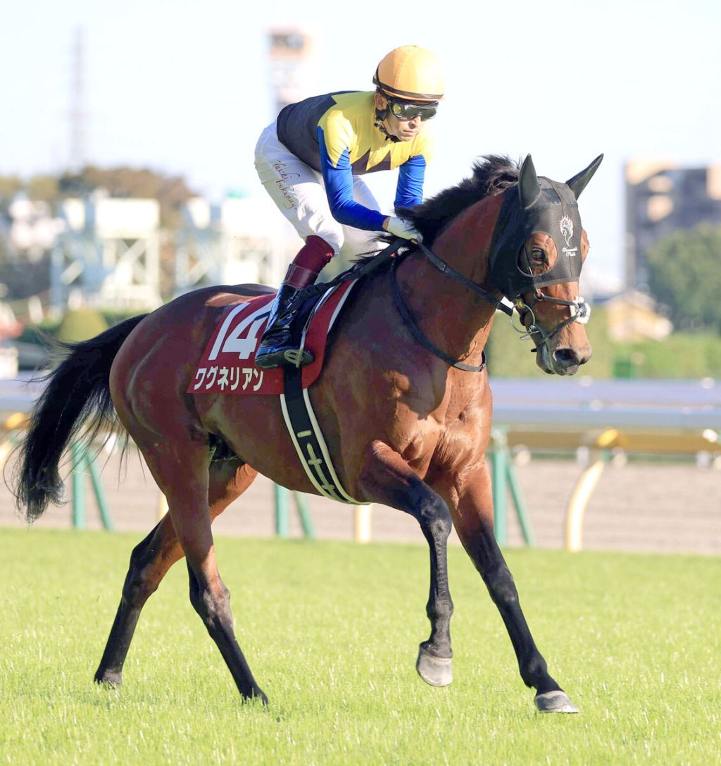 華格納真正目標參加日本盃，四匹打吡冠軍都可以上陣