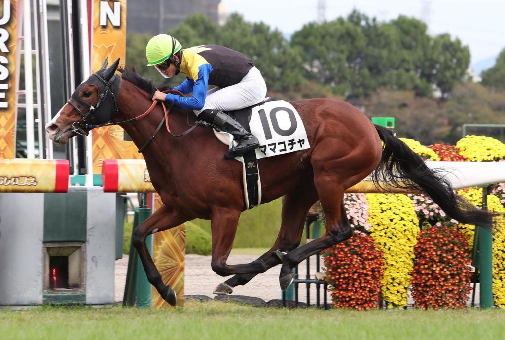 每日賽馬晚報（2021年10月24日），武豐抵達4300勝，Sodashi全妹取下首勝
