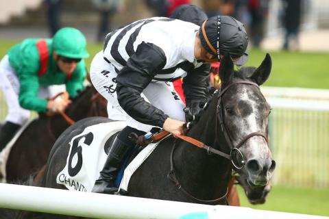 每日賽馬晚報(2021年10月27日),應聲而出退出墨爾本盃,一級賽上名馬Grocer Jack以70萬堅尼成交