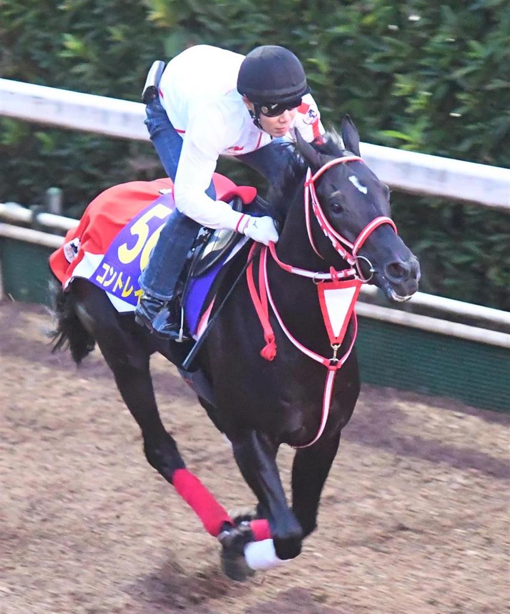 實力馬決戰?黑馬伺機埋伏?秋季天皇賞告訴你