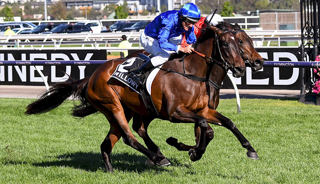 每日賽馬晚報（2021年11月4日），卡拉卡周歲馬拍賣會推遲三月舉行，嬌嬈替岳禮華七捷維省橡樹