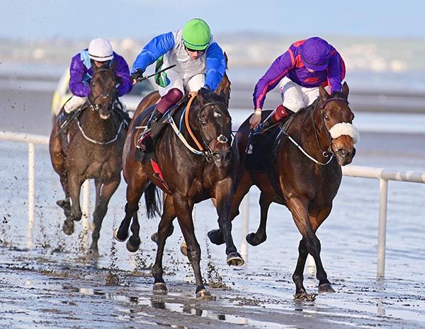 每日賽馬晚報(2021年11月2日),艾沙朗尼復牌後週四首次派馬上陣,金教堂種費決定