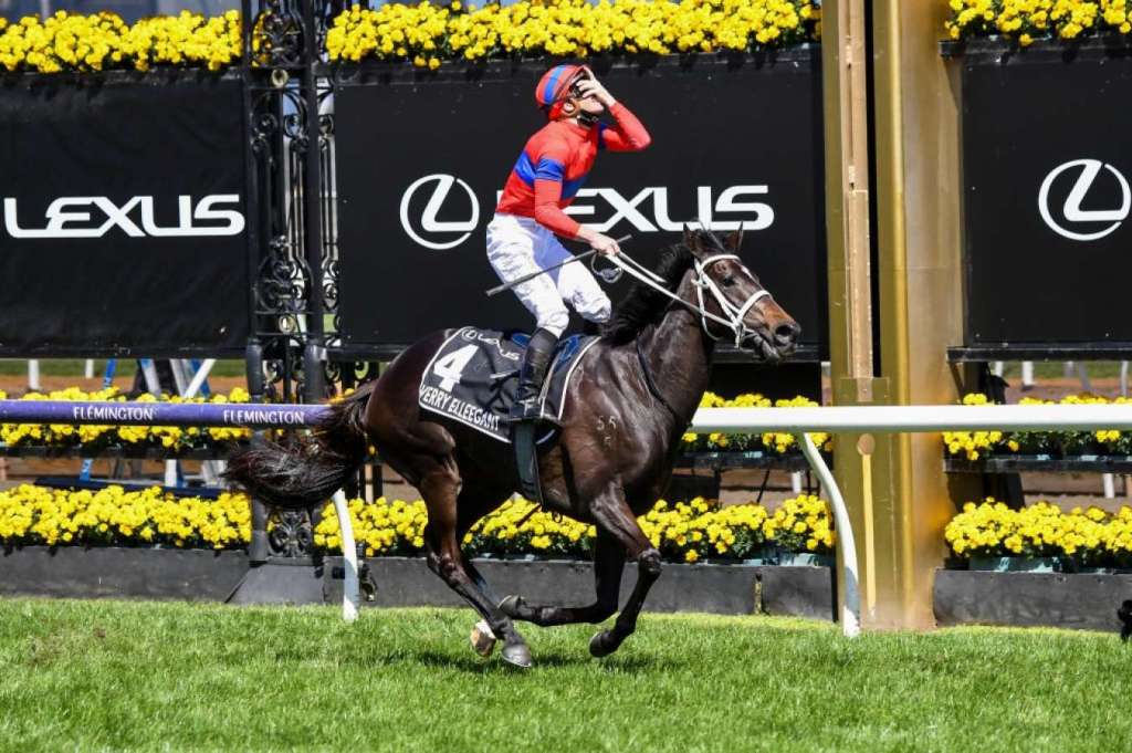 每日賽馬晚報(2022年2月1日),雍容爾雅馬主要求練馬師認真記下凱旋門大賽日期,拉丁城市麗冠花環今年3月再上陣