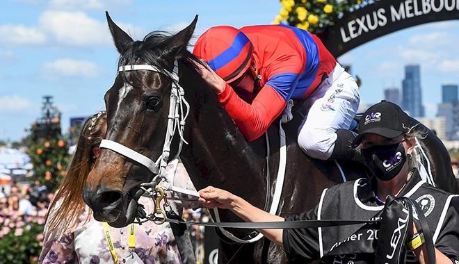 雍容爾雅轉投法國練馬師葛威法