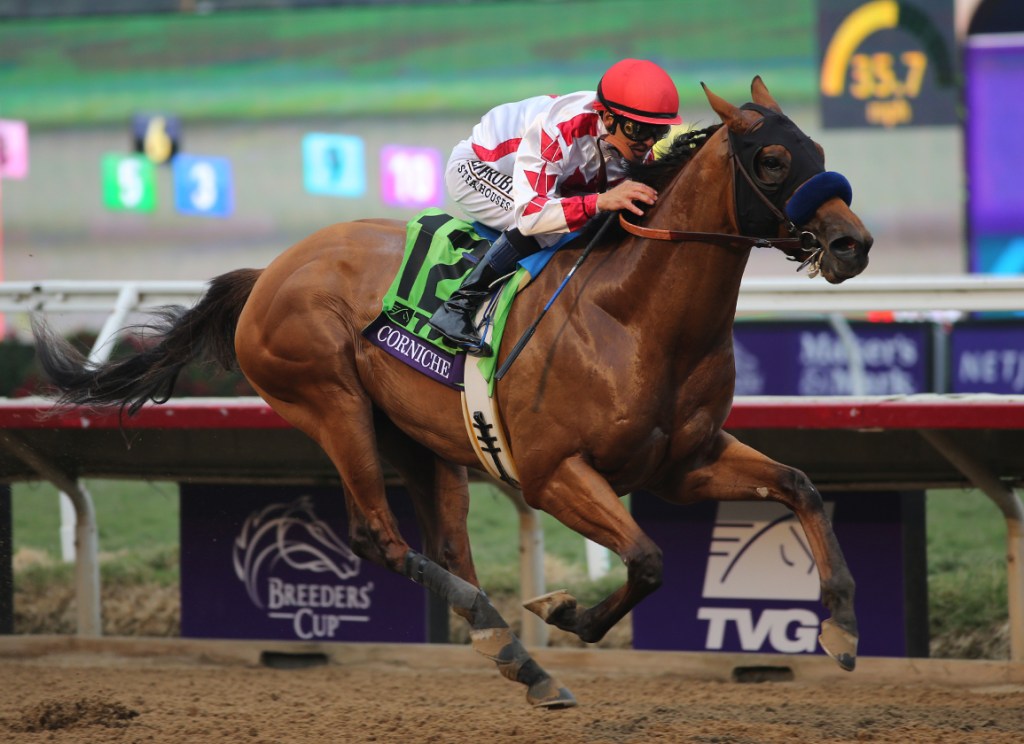 每日賽馬晚報（2022年2月8日），巴富達馬匹照報名肯塔基打吡，班德禮接騎健康愉快