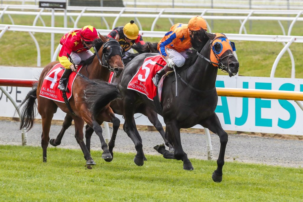 每日賽馬晚報（2021年11月6日），麗冠花環參戰HKIR，活頓鎮成古摩亞最新招牌種馬