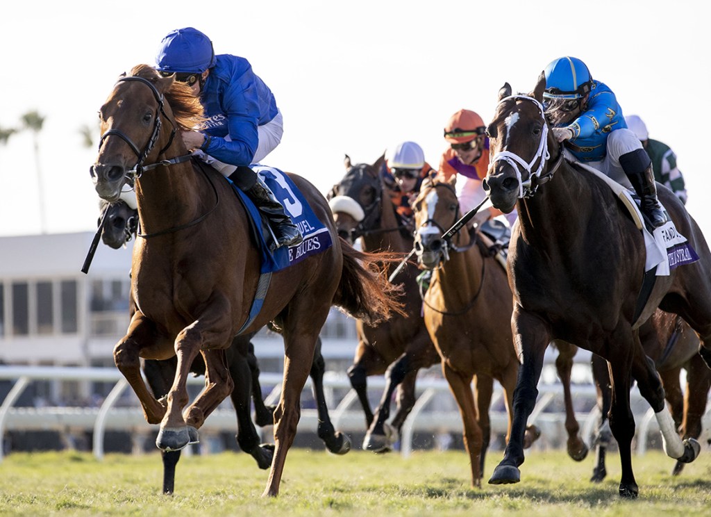 育馬者盃一哩大賽，太空藍調引退戰增程一哩沒問題