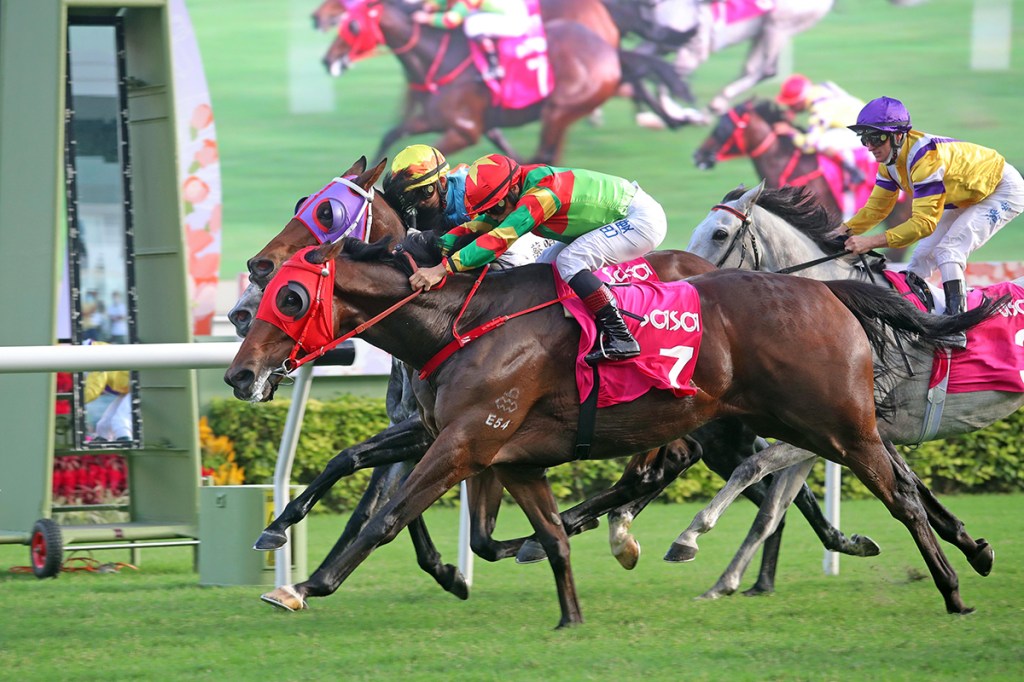 2022年5月22日賽馬日（10場田草、A跑道）