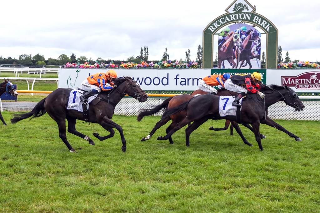 每日賽馬晚報(2021年11月13日),新桂成種馬新貴,李占美紐西蘭一千堅尼包辦四重彩,Serifos換人照樣三連勝