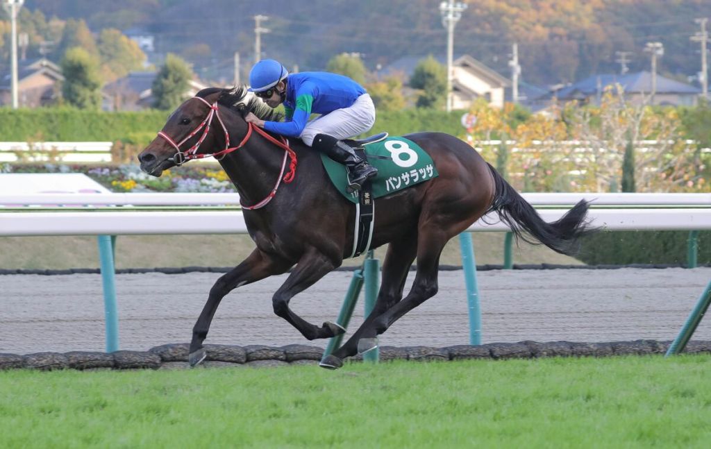 有馬紀念賽，大逃逃亡劇本初之海