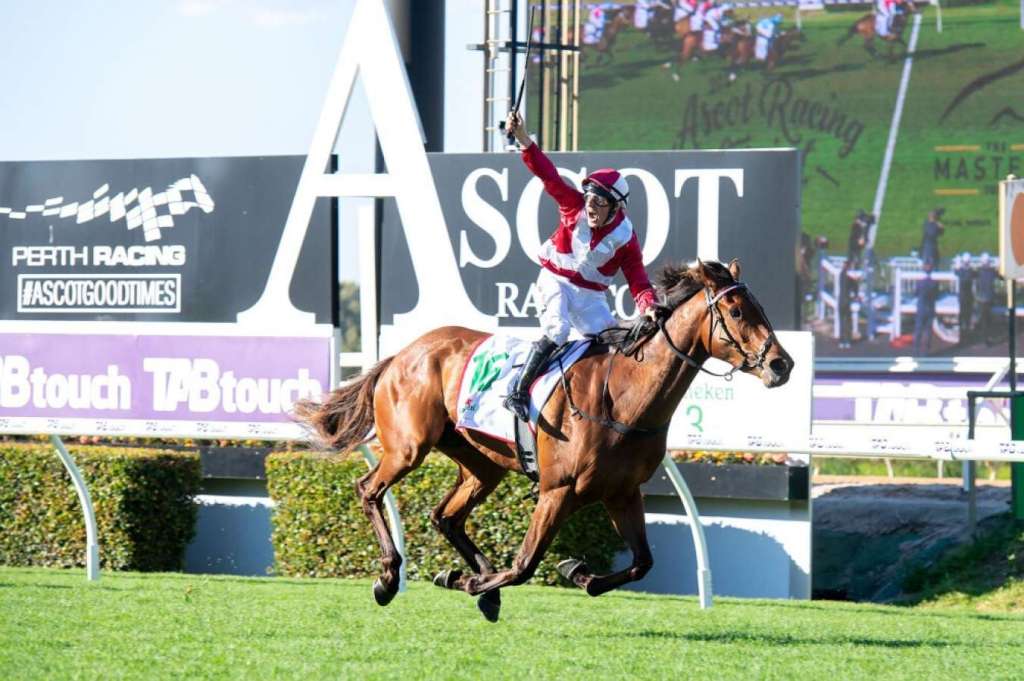 每日賽馬晚報（2021年11月20日），史卓豐宣佈照料妻子返回澳洲，Western Empire無外省對手輕鬆大勝西澳一級賽