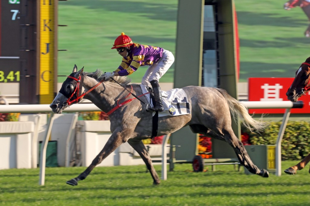 其士盃，銀馳替馬主連奪兩盃