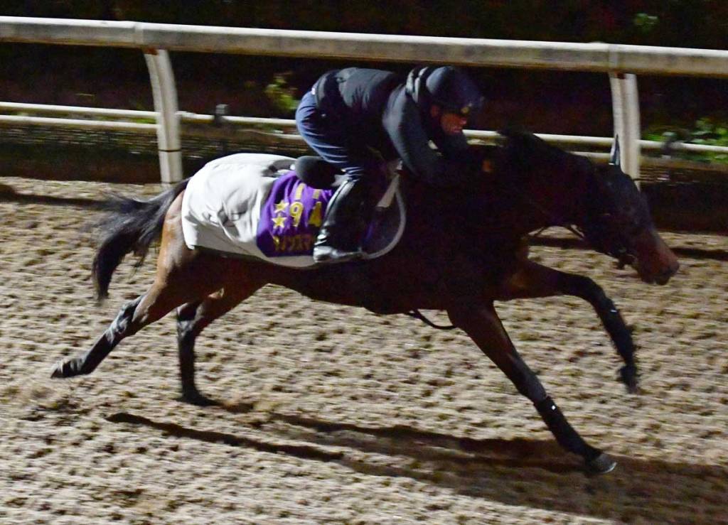 每日賽馬晚報（2021年11月30日），疫情最新發展或打亂香港國際賽事，澳洲老將湯寶森掛靴