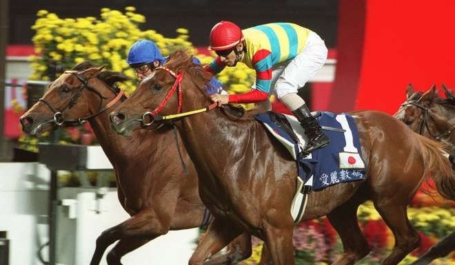 每日賽馬晚報（2021年12月8日），羅善三父子馬房被搜查，香港盃冠軍愛麗數碼遭人道毀滅