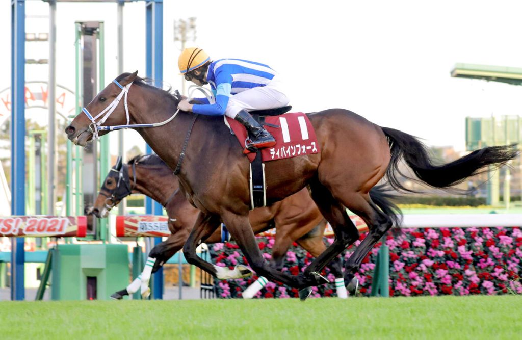 長途馬錦標，神聖之力練氣有成