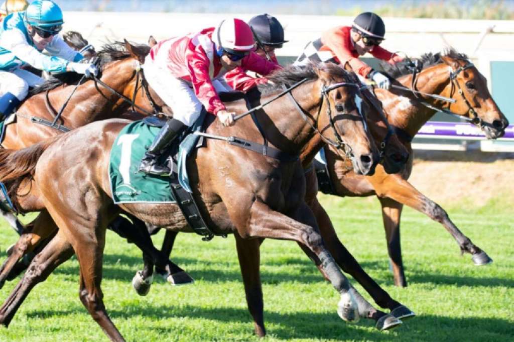 每日賽馬晚報（2021年12月4日），Medina Spirit用藥情況大反彈，健康愉快退出香港一哩錦標