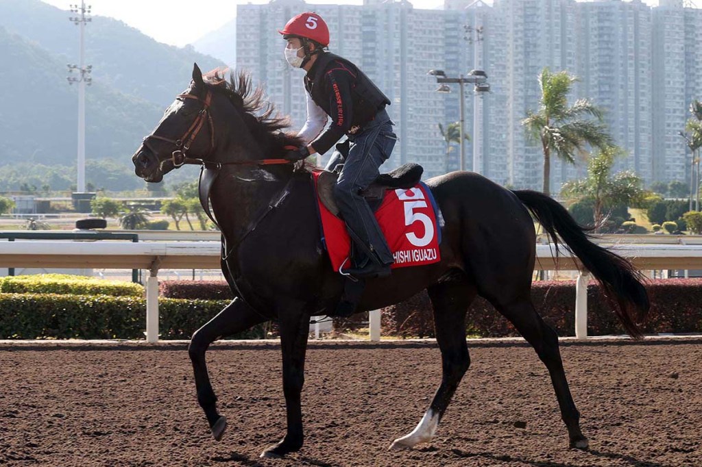 滂薄無比隱居半年中山紀念賽復出