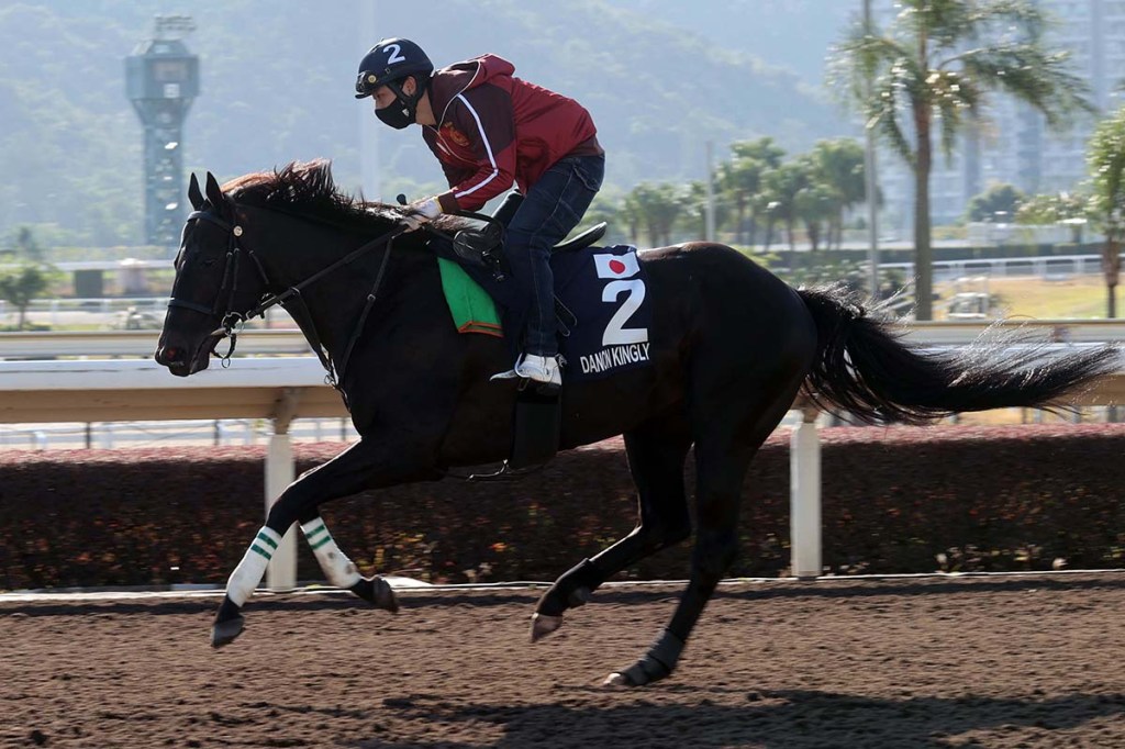 香港國際賽事日本馬特集（4），一哩如何破金鎗金剛身？