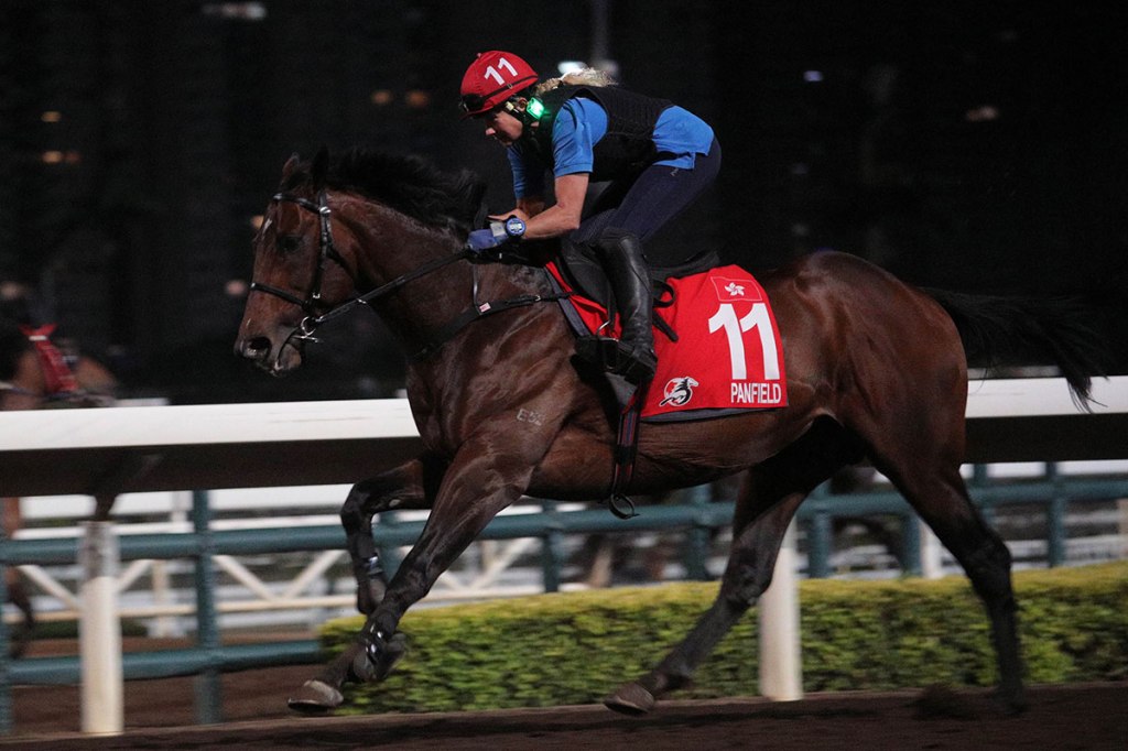 勇戰神駒遠征寶塚是真的，但先要再過一關