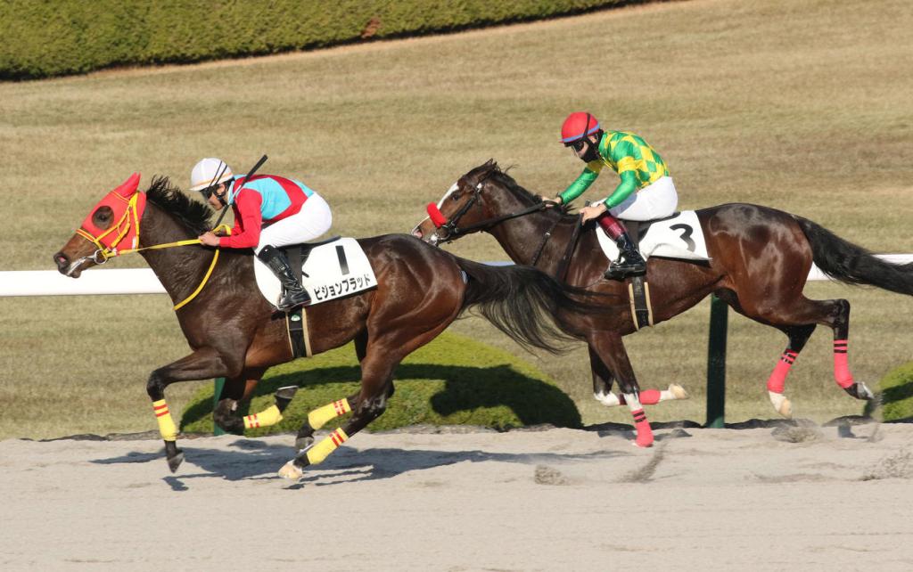 每日賽馬晚報(2021年12月13日),三位受傷騎師避免最嚴重受傷,阪神泥地新馬賽大慢閘都可反勝
