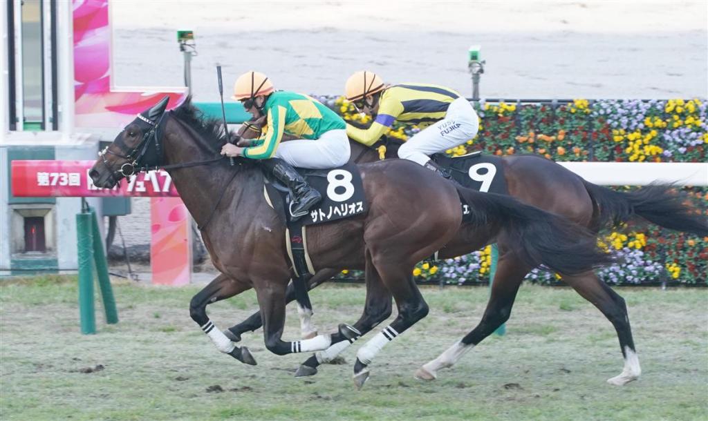 2022年4月17日日本二千堅尼錦標賽馬日各場預測