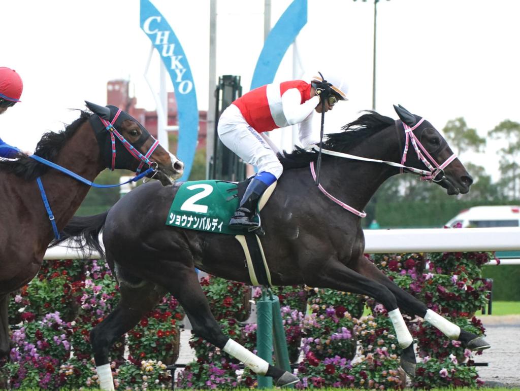 每日賽馬晚報（2021年12月11日），羅善三父子停牌，Shonan Bardi終於可以放到底