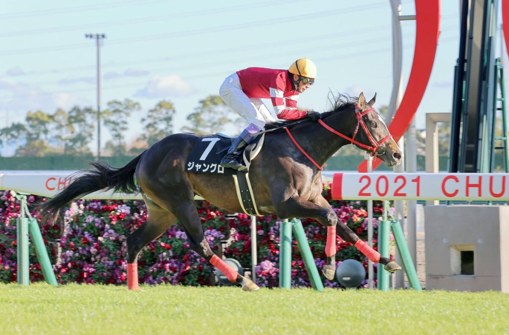 每日賽馬晚報（2021年12月18日），黎法和入獄五年，放聲歡呼馬迷面前放送