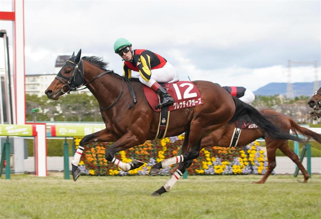 每日賽馬晚報（2022年9月30日），信誓旦旦另類上位方法圖再戰墨盃，攻必勝無緣今年香港國際賽