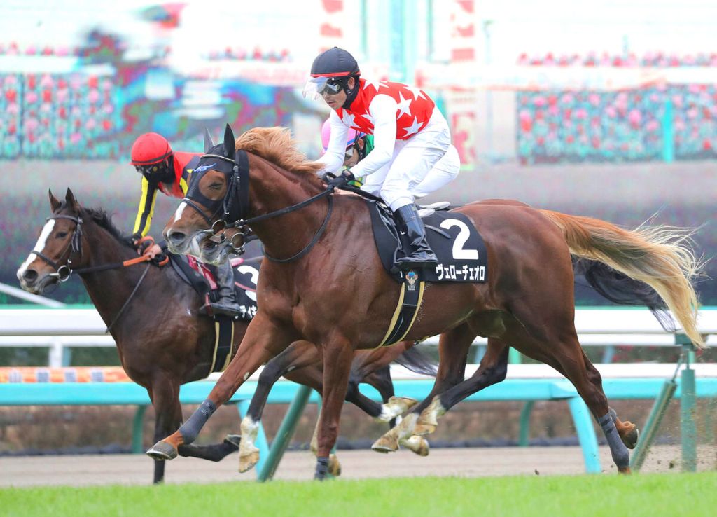 每日賽馬晚報（2022年3月1日），日本馬杜拜世界盃賽馬日全場有馬出，鼓動原馬主放棄擁有權